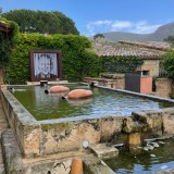 IMG_0563