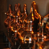 _7406732223631589376_o