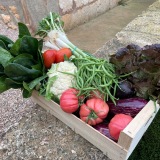 HORT_DE_SA_VALL_1411x1881_011