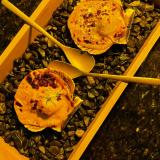 Izakaya_1411x1881_007