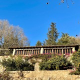 IMG_4738