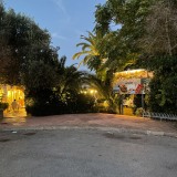 IMG_1631