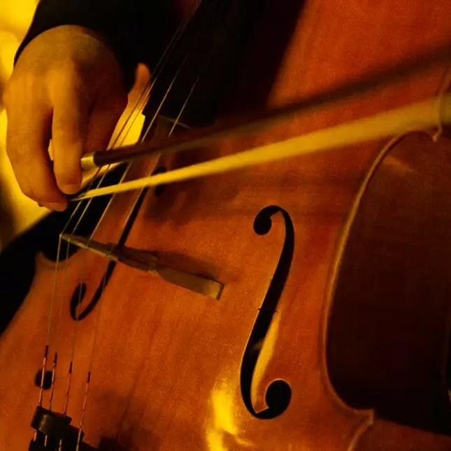 Close-up of a cello played under warm candlelight makefile Copiar código