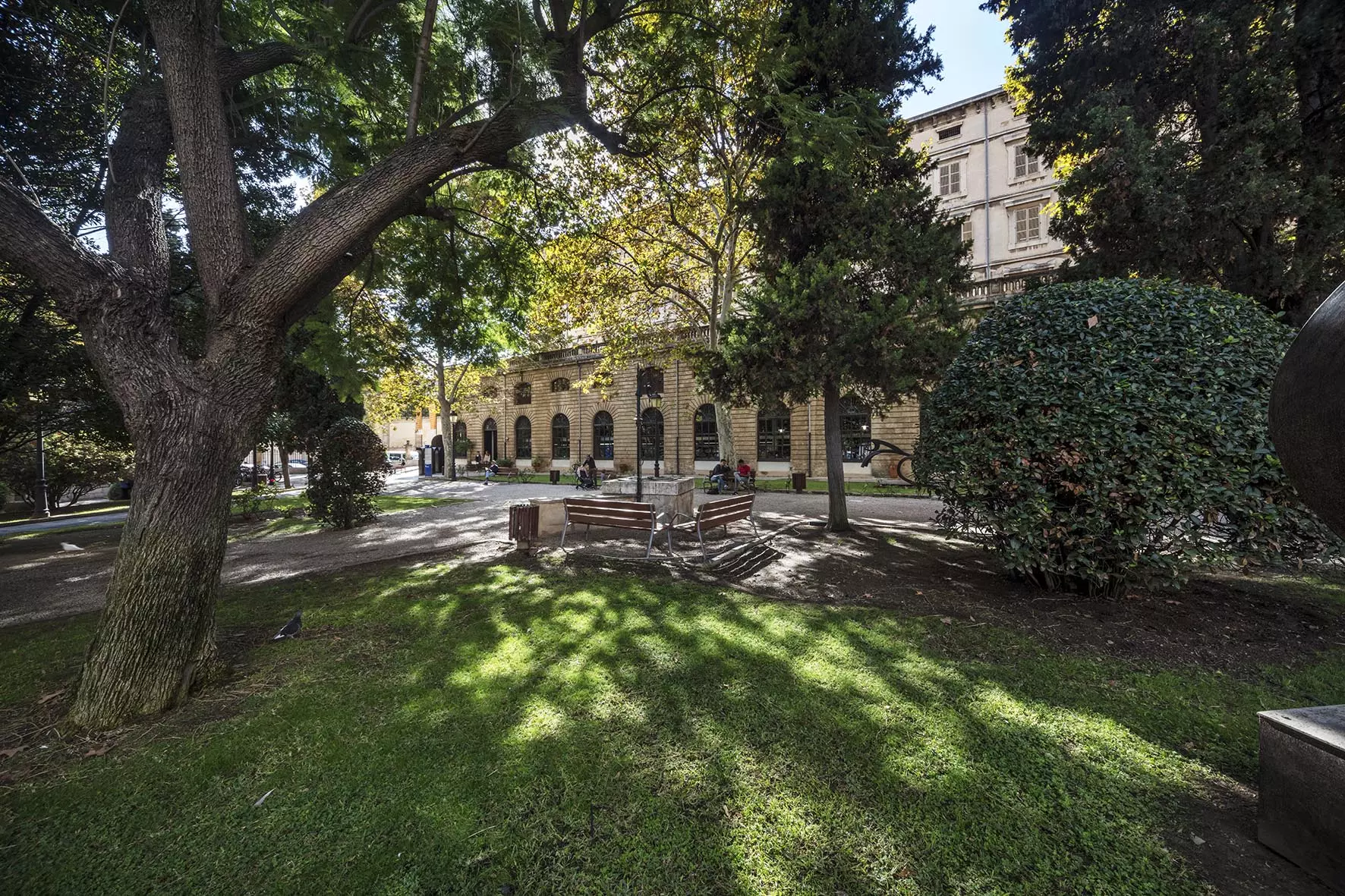 La Misericòrdia garden in Palma with trees and benches during daylight