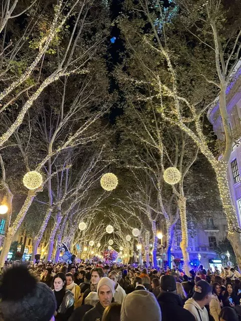 Trees covered in white Christmas lights arch over a crowded street at night during a holiday event in Palma.