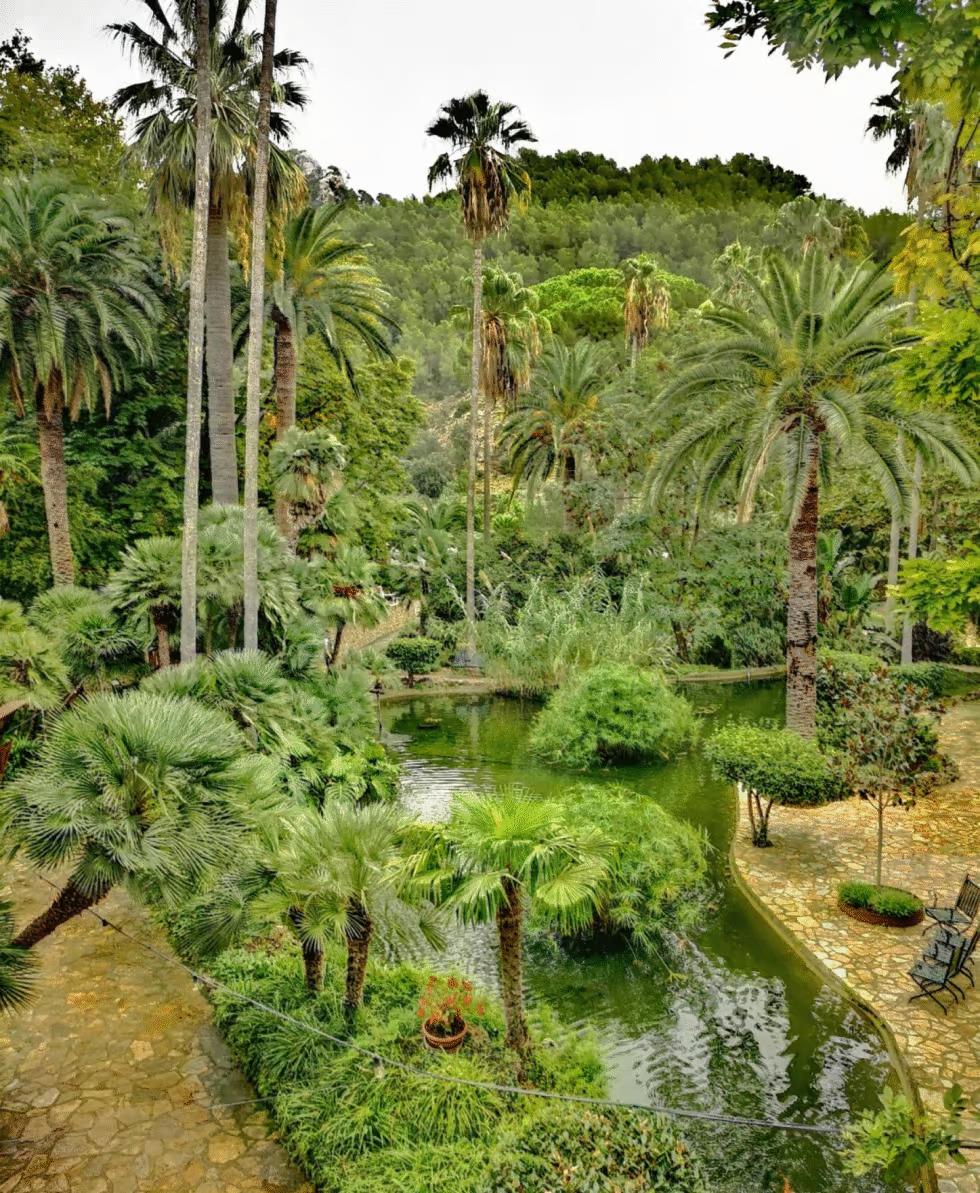 Palm trees and lush greenery surrounding a pond in the Gardens of Alfabia.