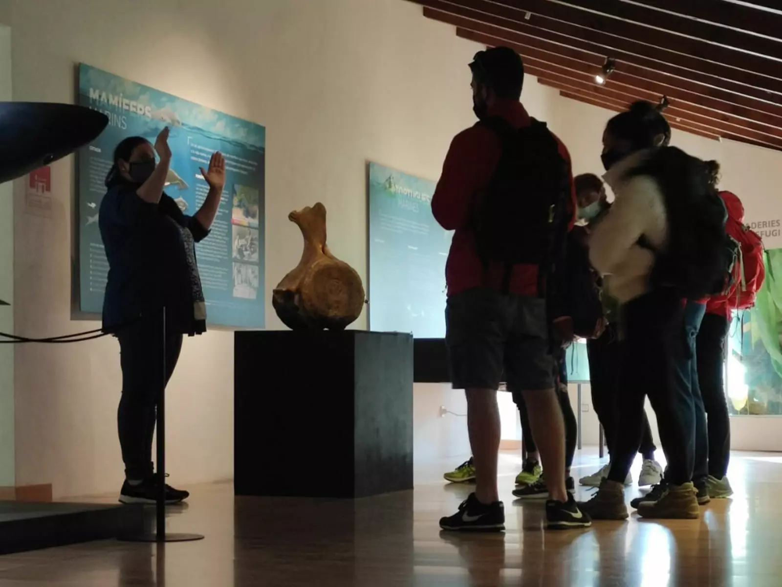 A museum guide explaining an exhibit to a small group of visitors in a dimly lit gallery at the Museu Balear de Ciències Naturals in Sóller.