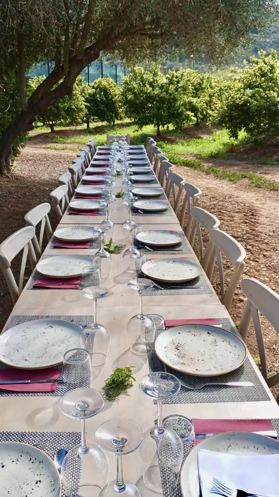 Long dining table set outdoors at S’Hort de Sa Vall estate surrounded by trees and fields.