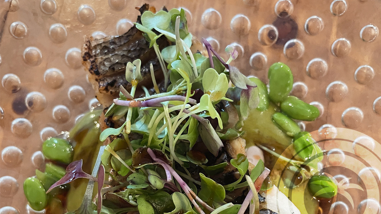 Dish from Nus restaurant in Palma.